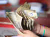 Remittances by NRIs from Punjab grow up to 10% on weak Rupee