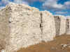 Cotton exports may remain flat at 100 lakh bales in 2013-14