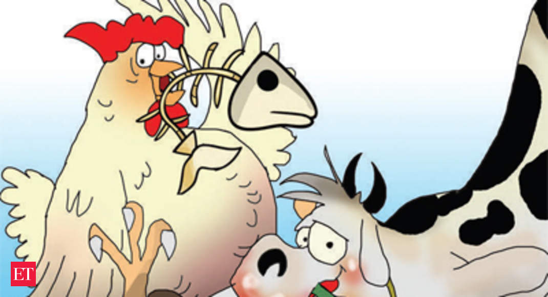 Boost for dairy & poultry industries: Fish and beer waste are food for  cattle, poultry - The Economic Times