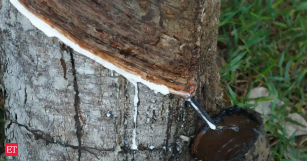 Rubber Board signs agreement for two research programmes at RRII - The ...
