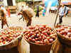 Government hikes onion 'minimum export price' to $ 900 per tonne