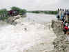 Protest over Indo-Bangla power project near Sundarbans
