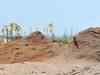 Goa offers to cap iron ore output at 45 mtpa