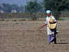 Finance ministry approves 5,500 crore as SBA to pay fertiliser subsidy