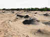 Illegal sand mining on IAF land: NGT seeks Centre's response