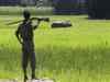 Assam plans solar fencing at Kaziranga to protect wildlife