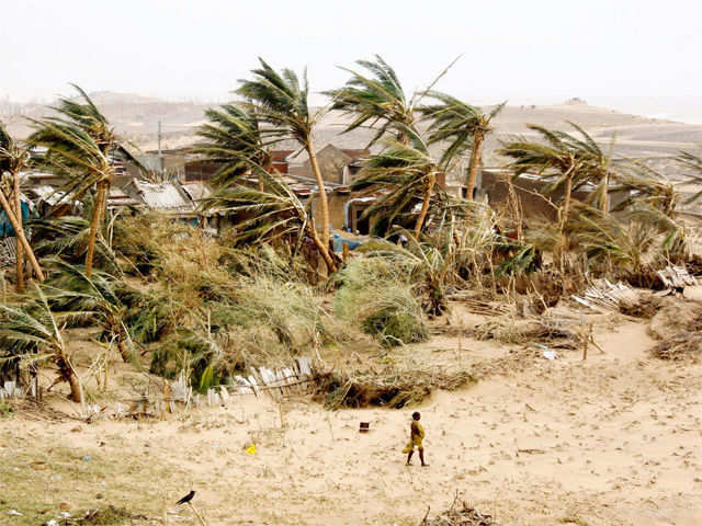 Cyclone hit Arjipalli village