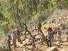 Two security personnel injured in naxal attack on poll parties