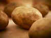 Potato futures up on spot buying