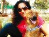 Creating harmonious pet families in Koramangala