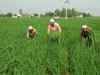 FCI floats e-tenders to build silos with 1.75 million ton capacity