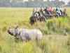 Rhino killed in Kaziranga, horn and ears taken away