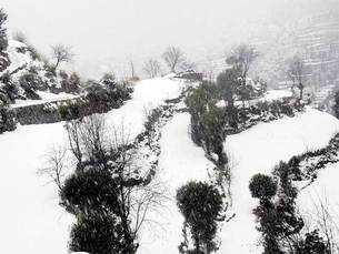 Beautiful pics of snowfall in Kashmir