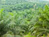 Arunachal Pradesh included under oil palm development scheme: Sharad Pawar