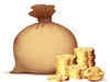 Microfinance firms tap non-convertible debentures for funds