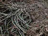Uttrakhand fixes sugarcane price at Rs 285 per quintal
