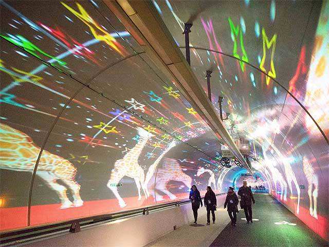 Light projections turn tunnel into wonderland