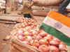Price uncertainty to blame poor numbers, say onion exporters