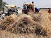 Madhya Pradesh expects wheat production to cross 190 lakh tonnes