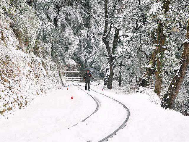 Heavy snowfall in Shimla