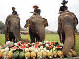 7th King's Cup Elephant Polo in Thailand