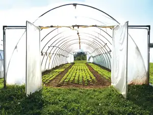 Polyhouse farming project report picture