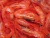 Japan fixes MRL for ethoxyquin in shrimps; brings relief to Indian marine exporters