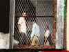 Congress MLA disrupts Kejriwal's press meet, demands SIT probe into Batla House encounter