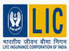New biz premium target is Rs 33,000cr for FY14: LIC