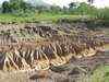 Study waves to resolve erosion: IIT-M experts