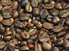 'Don't expect any price hike in coffee powder'