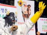 South Korea protesting resumption of US beef imports