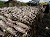 Uganda Congo Oil Conflict Fishermen