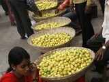 A woman examines lemons before buying