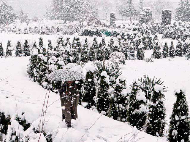 Fresh snowfall in Srinagar