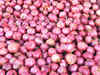 Private entities get approval to export onions