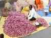 Mahuva’s dehydrated onion market gains from growing domestic demand