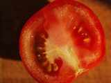 Tomato sliced half is seen in Medford