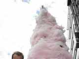 World's biggest cotton candy