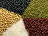 India permits 291 tonnes of pulses export to Maldives till 2016-17