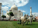 Beautification work at Taj Mahal