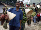 Seren Tahun harvest festival