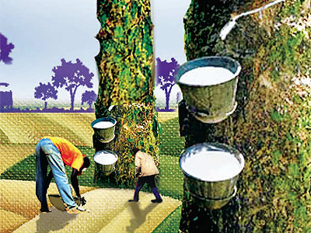 Government’s procurement drive fails to lift prices of natural rubber even after a month