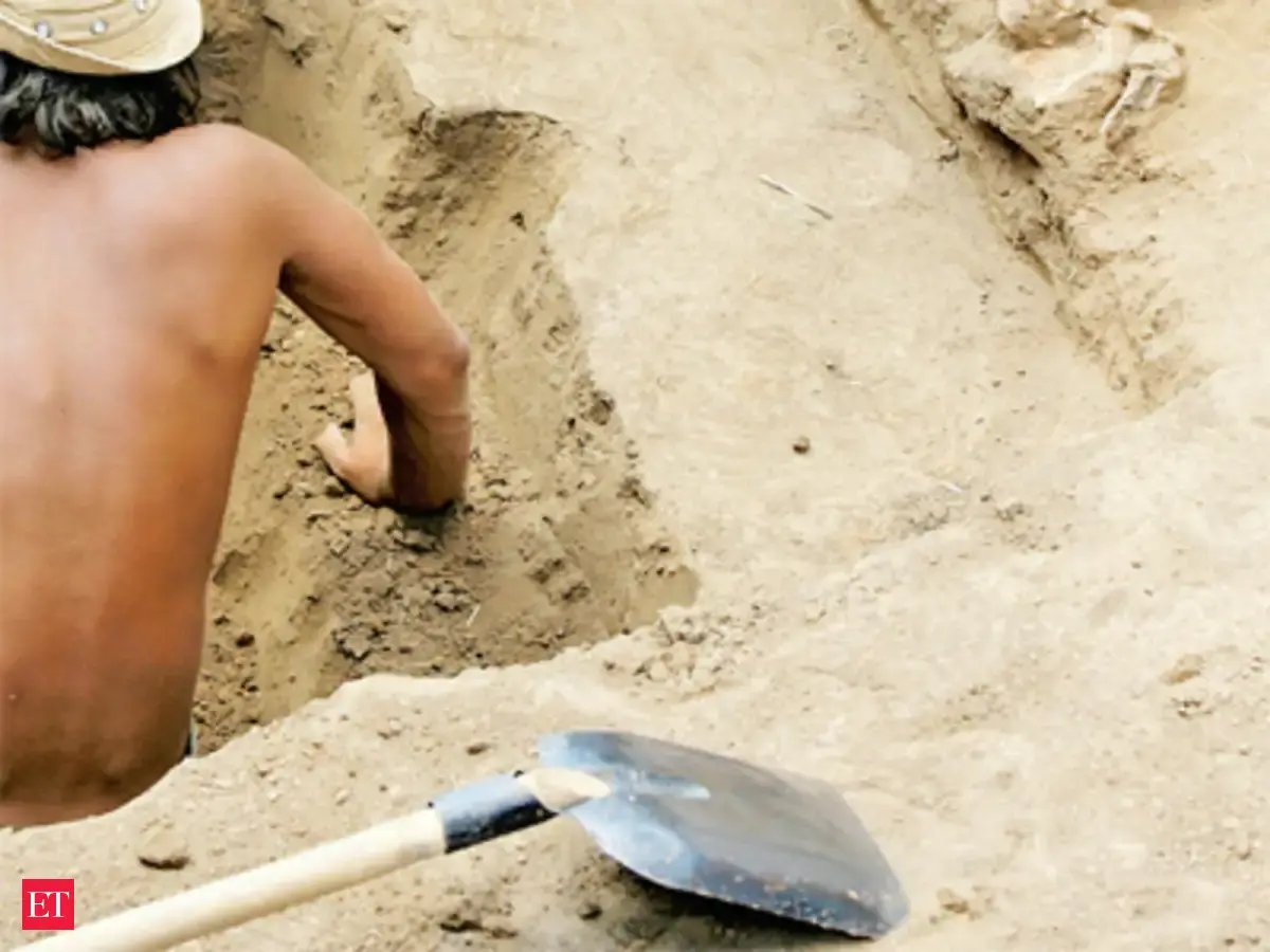 Individuals should excavate history till Archaeological Survey of India  digs myths - The Economic Times