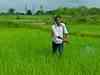 Dhanuka Agritech Ltd to set up pesticides formulation facility in Rajasthan