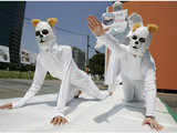 Animal rights activists with dog masks