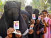 25 pc votes cast ballot till 10 AM in Assam