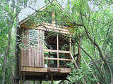 Edisto River Treehouses Canadys South Carolina