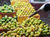 'Misguided mango import ban could hit India-EU FTA'