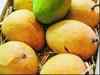 Ban on Alphonso mangoes: India to take up the issue with EU